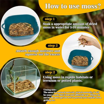 RAINFLOW Sphagnum Moss for Reptiles - 5.6 OZ Reptile Peat Moss for Terrarium Bedding Reptiles Snake Substrate for Reptile Tank, Snake, Leopard Gecko, Ball Python, Crested Gecko, Turtle, Frog, Hamster