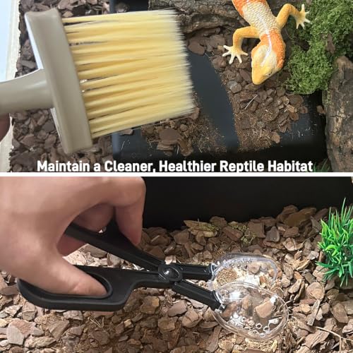 Reptile Cleaning Kit 9PCS, Terrarium Cleaning Tools Set with Scraper, Brush, Tweezers & Sponge, Tank Maintenance Kit for Bearded Dragon, Gecko, Snake Habitat Supplies