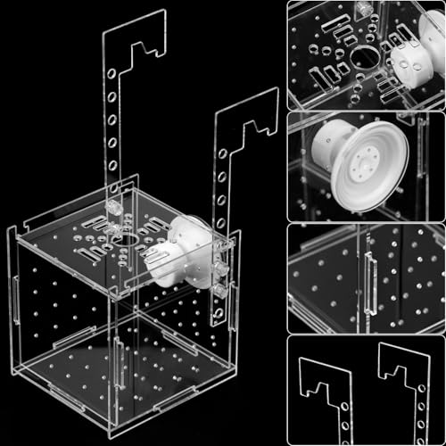 QWORK Acrylic Fish Breeding Isolation Box - Transparent Aquarium Incubator for Small Fishes Shrimp Clownfish Guppy, 3.9-inch