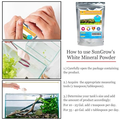 SunGrow Shrimp Calcium White Powder, Supports Healthy Molting, Improves Shell Color, Growth & Strength, Enhances Water Quality, Breeding Support, Essential Mineral for Freshwater Shrimp, 1.8 oz