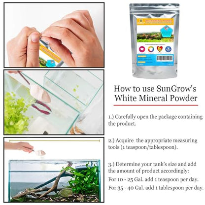 SunGrow Shrimp Calcium White Powder, Supports Healthy Molting, Improves Shell Color, Growth & Strength, Enhances Water Quality, Breeding Support, Essential Mineral for Freshwater Shrimp, 1.8 oz