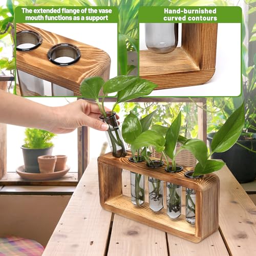 Glass Plant Propagation Station with 5 Test Tubes Colorful Planter Vase | Birthday Gifts for Women in Wooden Stand - color: Gray