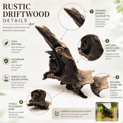 Natural Driftwood Tree Decoration for Aquarium, Fish Tank Plant Stump Ornament, Random Style(5-10cm)