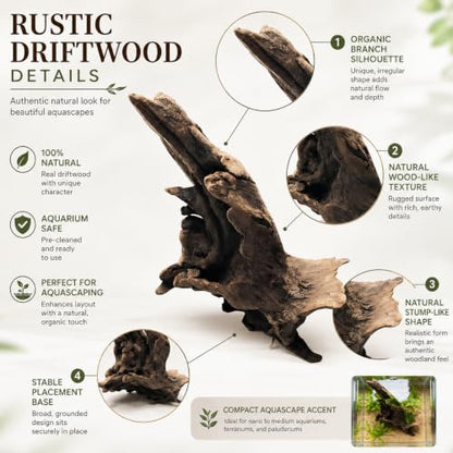 Natural Driftwood Tree Decoration for Aquarium, Fish Tank Plant Stump Ornament, Random Style(5-10cm)