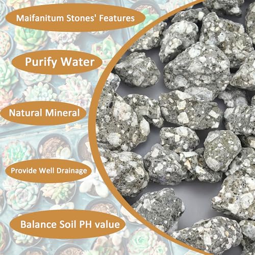 Succulent Cactus Soil Potting Mix:Indoor Bonsai Soil for Plants,Orchid Potting Mix,Aquarium Rocks for Fish Tank,Gardening DIY Gravel for Plants,Drainage and Breathable,1.1 lbs/0.5kg (1.1 lbs) - style: 1.1 lbs