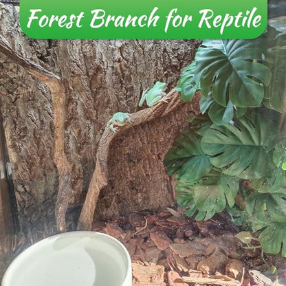 Reptile Branch Decor Snake Climbing Wood Branches Lizard Habitat Decorations Terrarium Wooden Tree Trunk Ornament for Bearded Dragon Snake Geckos Chameleon Frog 4 Pcs (14-16 inch) - size: 4 PCS-Diameter: 0.8-1.2 inches