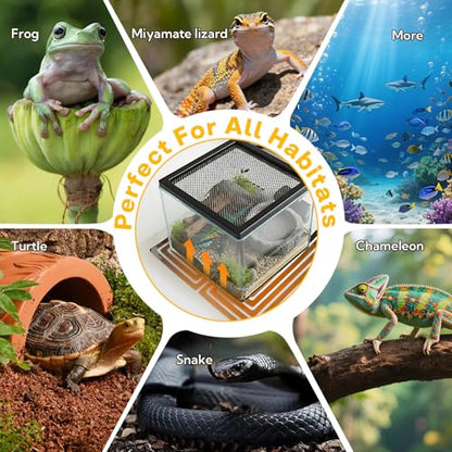 Reptile Heating Pad 6x5.5 Inch Under Tank Heater, 5W Low Energy Graphene Heating Mat for Terrarium, Safe & Even Warming for Snake Lizard Gecko Turtle Frog Hermit Crab Plastic/Glass Cages - size: upgrade 5W ( 6 x 5.5 Inch)