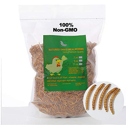 Non-GMO Dried Mealworms 6LB, 100% Natural Large Size No Moisture,Treats for Birds Chickens Hedgehog Hamster Fish Reptile Turtles (6lb) - size: 6 Pound (Pack of 1)
