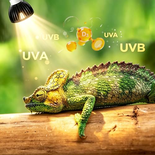 UVB Light for Reptiles with Anti-Glare Lens UVB Bulb 5W LED UVA UVB Reptile Light Bulb Soft Glow UVA UVB Lights for Turtle, Cameleon, Lizard, Bearded Dragon, Gecko 1 Pack