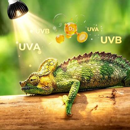 UVB Light for Reptiles with Anti-Glare Lens UVB Bulb 5W LED UVA UVB Reptile Light Bulb Soft Glow UVA UVB Lights for Turtle, Cameleon, Lizard, Bearded Dragon, Gecko 1 Pack