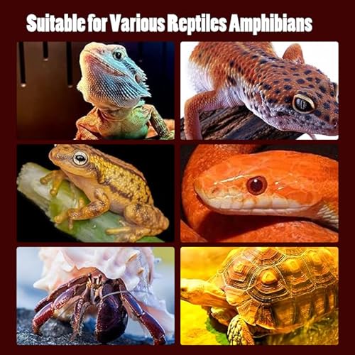 ciciglow Reptile Heat Lamp Bulb, Simulates Environment, 2W LED Energy Saving with E27 Standard Thread, Night for Lizards, Snakes, Frogs (ND-28 110v)