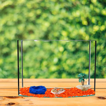 Needzo DIY Terrarium Hermit Crab Habitat Kit with Palm Tree Feeder and Swimming Pool, Bulk Reptile Starter Pack, 2 Items
