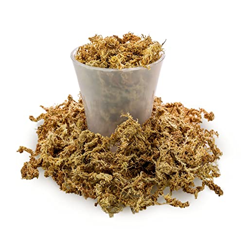 Premium New Zealand Sphagnum Moss - Organic Hand Mixed Long Fibered Sphagnum Moss Orchid - 4 Quart
