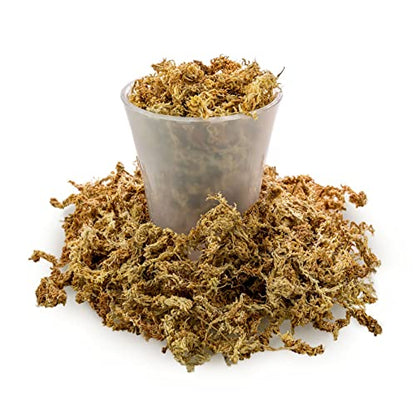 Premium New Zealand Sphagnum Moss by Gardenera - Organic Hand Mixed Long Fibered Sphagnum Moss Orchid - 1 Quart