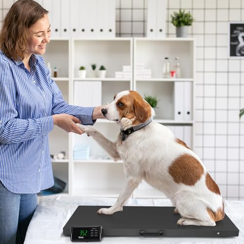 TUFFIOM 1100Lbs x 0.2Lbs Postal Digital Shipping Livestock Scale, Electronic Stainless Steel Platform Heavy Duty Vet Animal Floor Scale,Dog Puppy Pig Goat Sheep Scale, Black - color: Black