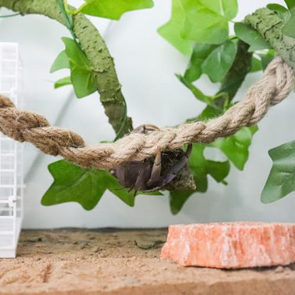 Hermit Crab Climbing Toys, Reptile Rope Ladder Supplies, Tank Aquarium Terrarium Vines Accessories, Habitat Decor for Lizards Geckos Snakes Bearded Dragon