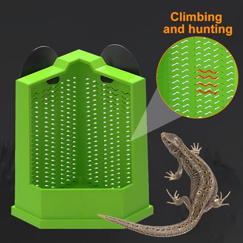 Bearded Dragon Feeder, Escapeproof Corner Reptile Feeder Box with Suction Cups for Lizard, Lguana, Gecko, Bearded Dragon - size: S