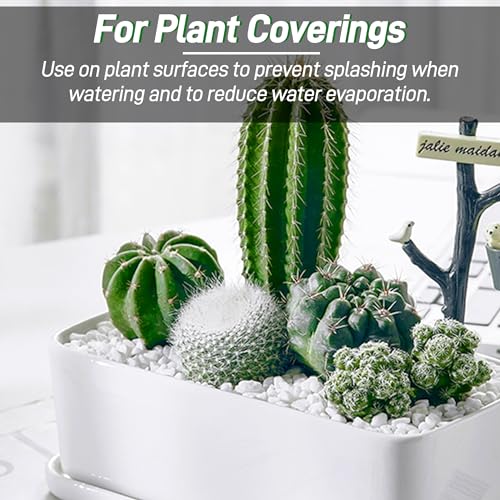 45lb White Cactus Pea Gravel Rocks,1/4 Inch Pebbles for Indoor Plants, Natural Succulent Rock and River Rocks Decorative for Aquariums, Vases, Outdoor Gardening, Top Dressing for Potted Plants - color: White Onyx, size: 45LB