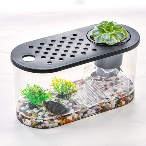 Small Turtle Tank Kit, Reptile Aquarium, Habitat for Turtles, Hermit Crabs - color: Black