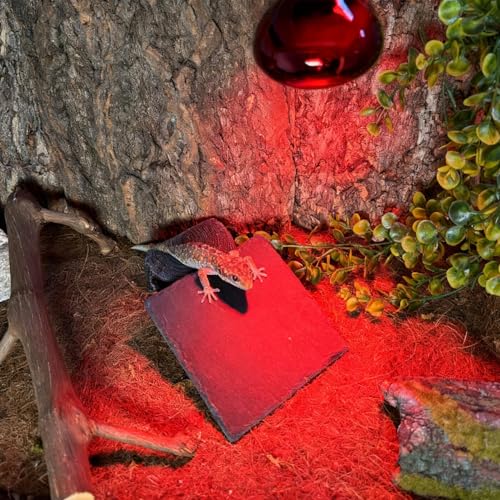 Reptile Basking Platform 6.0''x6.0'' Turtle Rock Plate Slate Food Feeding Dish Bowl Bathing Resting Terrace for Chameleon Lizard Bearded Dragon Gecko Snake Frog Newt (6.0''/15CM) - size: 6.0inches(1pcs)