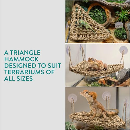 Navaris Bearded Dragon Habitat Essentials - Tank Accessories Set of 5 - Reptile Hammock Adjustable Wooden Ramp DIY Rope Plants - Ideal for Lizard & Gecko Tank