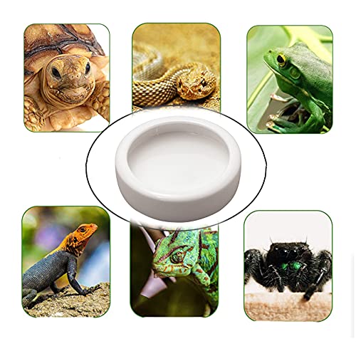 Tfwadmx 2 Pack Reptile Food Bowl, Mini Ceramic Water Feeder Bowl, Reptile Worm Feeding Dish for Lizard Turtle Bearded Dragon Anoles Crested Gecko Hermit Crab Leopard Gecko Chameleon Corn Snake - size: 1 Pc 2.7 '' x 0.8 ''