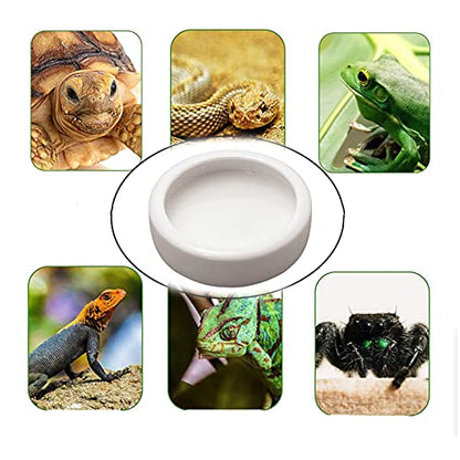 Tfwadmx 2 Pack Reptile Food Bowl, Mini Ceramic Water Feeder Bowl, Reptile Worm Feeding Dish for Lizard Turtle Bearded Dragon Anoles Crested Gecko Hermit Crab Leopard Gecko Chameleon Corn Snake - size: 1 Pc 2.7 '' x 0.8 ''