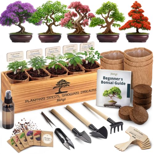 Bonsai Tree Kit Deluxe - Growing 5 Unique Japanese Bonzai Trees | Complete Indoor Bonsai Starter Kits for Growing Trees – Plant Lovers Gifts for Women & Men