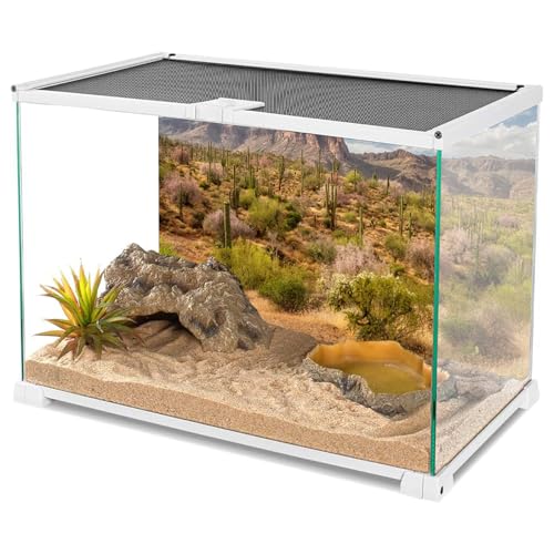 AWERT 24x16 inches Reptile Habitat Background Blue Sky White Clouds Mountains Oasis Cactus Plants Terrarium Background Natural Landscape Durable Polyester Backdrop - size: 24x16in/60x40cm