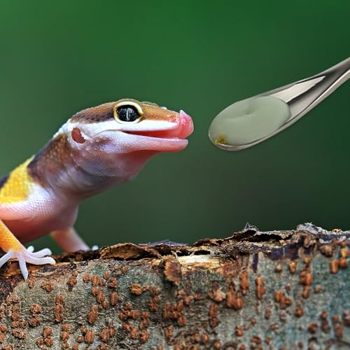Abeillo 2Pcs Crested Gecko Feeding Spoon, Stainless Steels Reptile Spoon, 7.6 Inch Long Handle Crested Food Feeding Spoon for Gecko Lizard Gargoyle Bearded and Other Small Animals