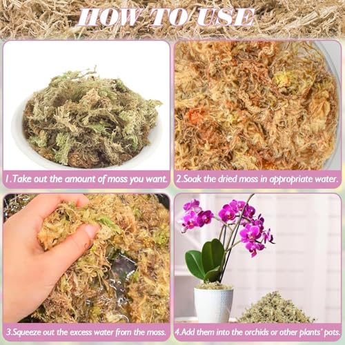 Halatool 1.1 LB Sphagnum Moss for Plants, 25 QT Long Fiber Orchid Moss | Drainage & Moisture Retention, Natural Moss for Ferns, Succulents, Carnivorous, Orchid Repotting, Terrariums, Reptile Bedding - size: 25 qt (1.1 lbs)