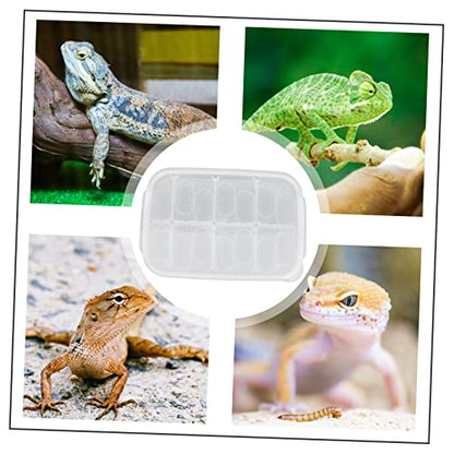BESPORTBLE 14 Egg Capacity Reptile Lizard Box Suspended Incubation Practical Breeding Isolator