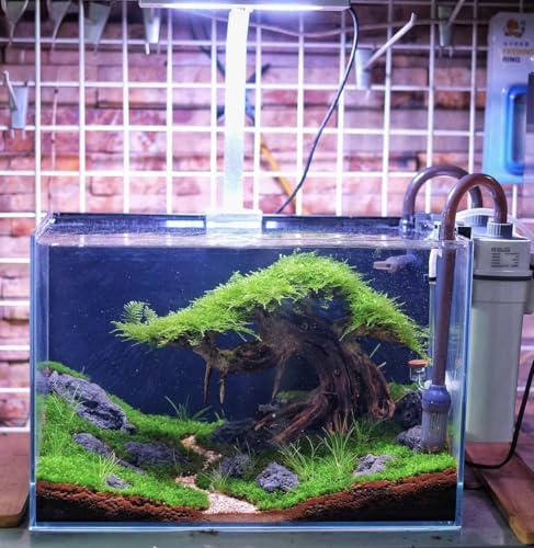 Azil Bonsai Driftwood Aquarium Tree for Aquarium Decor Fish Tank Decorations (10.1'' Length)