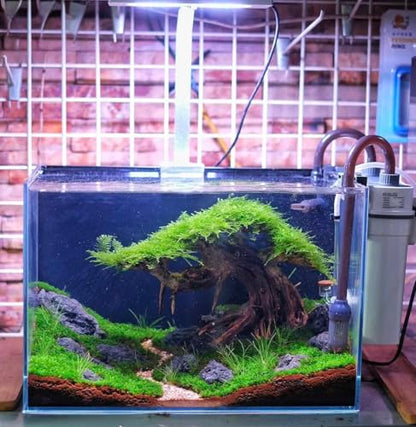 Azil Bonsai Driftwood Aquarium Tree for Aquarium Decor Fish Tank Decorations (10.1'' Length)
