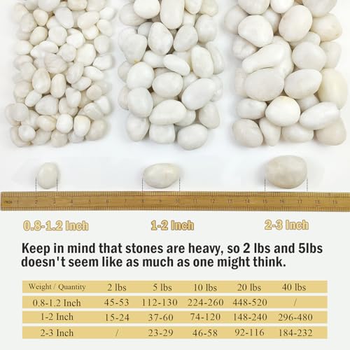 FANTIAN 10 lbs White River Rocks, 1-2 Inch Polished Pebbles for Indoor Plants, Decorative White Stones for Plants, Vase, Aquarium, Fish Tank, Landscaping and Garden - size: 1-2 Inch, style: 10 Pounds