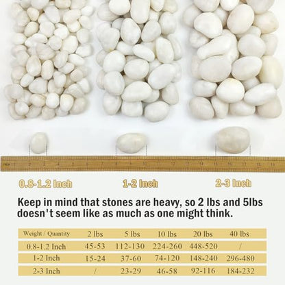 FANTIAN 10 lbs White River Rocks, 1-2 Inch Polished Pebbles for Indoor Plants, Decorative White Stones for Plants, Vase, Aquarium, Fish Tank, Landscaping and Garden - size: 1-2 Inch, style: 10 Pounds