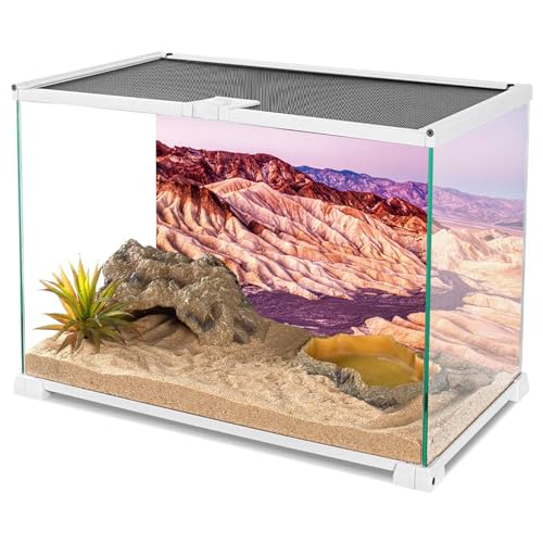 YongFoto Reptile Terrarium Background - 24x16 inch Desert Rocky Bush Thorns Western Wilderness Habitat Backdrop - color: Purple, size: 24 x 16 in
