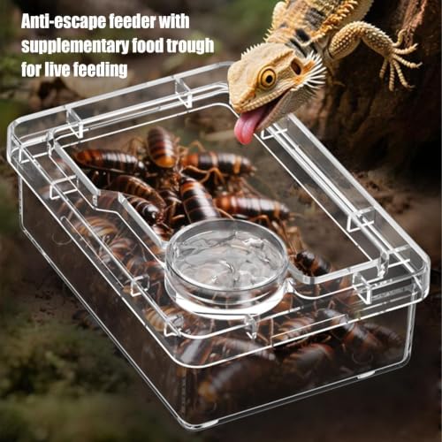 Reptile Food Dish Bearded Dragon Water Bowl | Reptile Amphibian Habitat Feeders for Leopard Cage Tank Terrarium Enclosure Frog Lizard Gecko