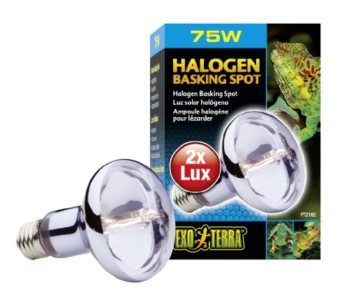Exo Terra Sun Glo Halogen Basking Spot Lamp | 75W Reptile Light Bulb, Broad Spectrum Daylight, Enhances Coloration, Promotes Health, PT2182 - size: 75 Watts