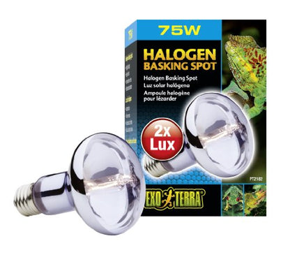Exo Terra Sun Glo Halogen Basking Spot Lamp | 75W Reptile Light Bulb, Broad Spectrum Daylight, Enhances Coloration, Promotes Health, PT2182 - size: 75 Watts