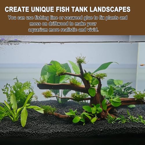 kathson 4Pcs Aquarium Driftwood, 4"-7" Small Natural Wood Driftwood Tree Fish Tank Decoration Assorted Branches Ornament for Fish, Shrimp, Aquatic Animals Play