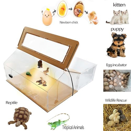 5 in 1 Chick Starter Kit 40-50 Chick Brooder Box Small Chicken Coop | Brooder Heat Lamp 2,Baby Chicken Box,Chicken Feeder,Waterer,Thermo-hygrometer