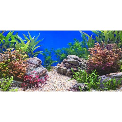 AWERT 72x24 inches Aquatic Plant Fish Tank Background Stone River Bed & Lake Aquarium Background Vinyl - size: 72x24in/180x60cm