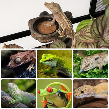 Magnetic Gecko Feeding Ledge, Reptile Food Dish with 3PCS Feeding Cups Crested Gecko Feeder Ledge Water Bowl for Lizard Chameleon Bearded Dragon Tank Accessories - size: Small