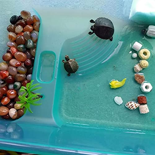 kathson Turtle Tank Aquarium, Turtle Habitat Reptile Plastic Terrarium Safe Durable, Tortoise Tank with Lid Prevent Climbing Escaping (Medium) - size: Medium - 16.9x11.8x6.3 Inch
