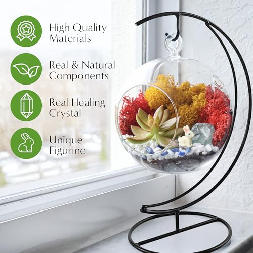 Creations by Nathalie - 5" Glass Globe Succulent Terrarium Kit, Hanging DIY Starter Kit for Kids and Adult, Metal Stand, Reindeer Moss, Crystal & Rocks, Tools, Figurine (Live Plant Included) - color: Globe Glass