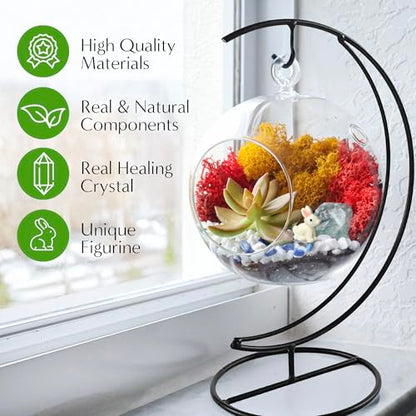 Creations by Nathalie - 5" Glass Globe Succulent Terrarium Kit, Hanging DIY Starter Kit for Kids and Adult, Metal Stand, Reindeer Moss, Crystal & Rocks, Tools, Figurine (Live Plant Included) - color: Globe Glass
