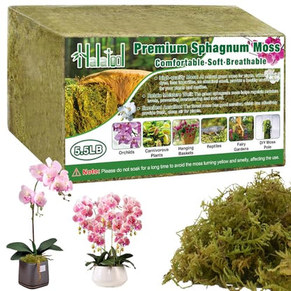 Halatool 5.5 LB Natural Green Forest Moss, Long Fiber Dried Sphagnum Moss | No Dyes, Water Retention & Areation, Dried Orchid Moss for Potted Plants Indoor & Outdoor, Orchids Repotting, Terrariums - size: 5.5 lb