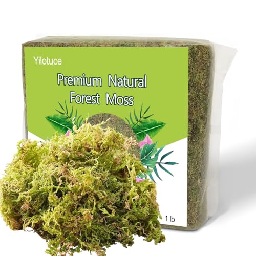 1 lb Natural Orchid Moss for Potted Plants, Nice Soilless Potting Soil for Seedling and Cutting, Good Idea for Reptile Terrarium, Crafts, Garden Decoration - size: 1lb