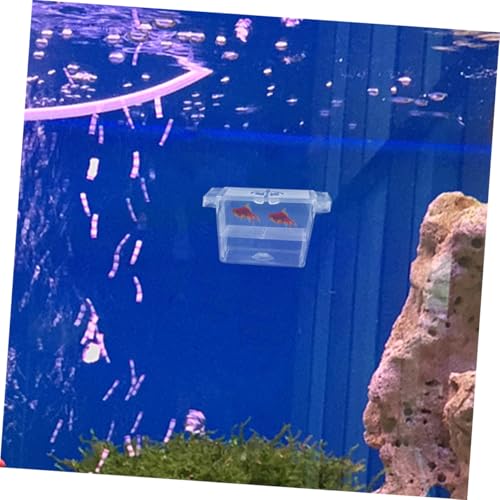 ORFOFE 4pcs Self-Floating Fish Fry Incubator Aquarium Breeding Box Betta Fish Separator Breeding Separator Reptile Box
